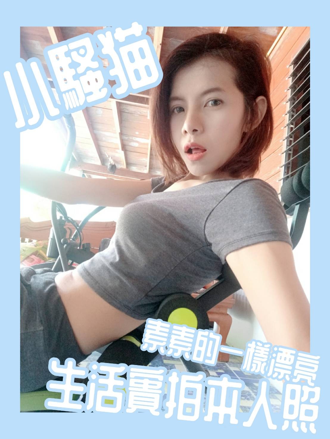 其他國家嘉義小騷貓定點圖片