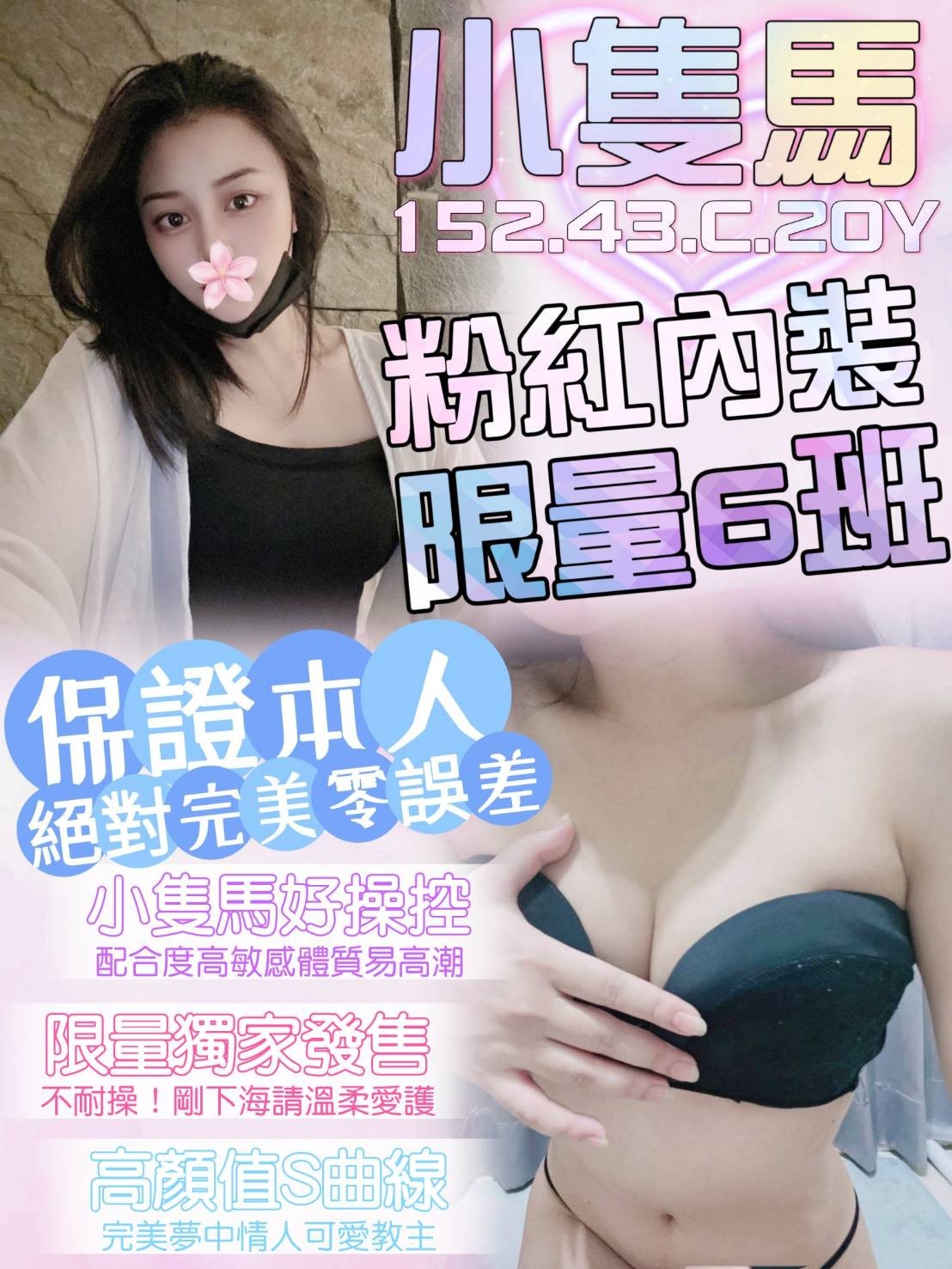 台灣台中小隻馬定點圖片