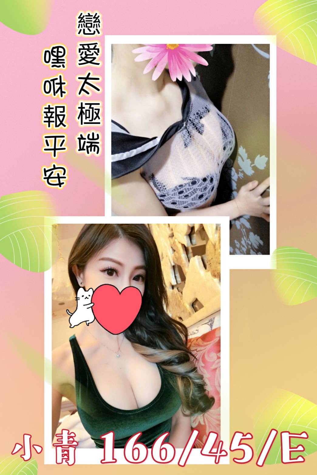 台灣台中小青定點圖片