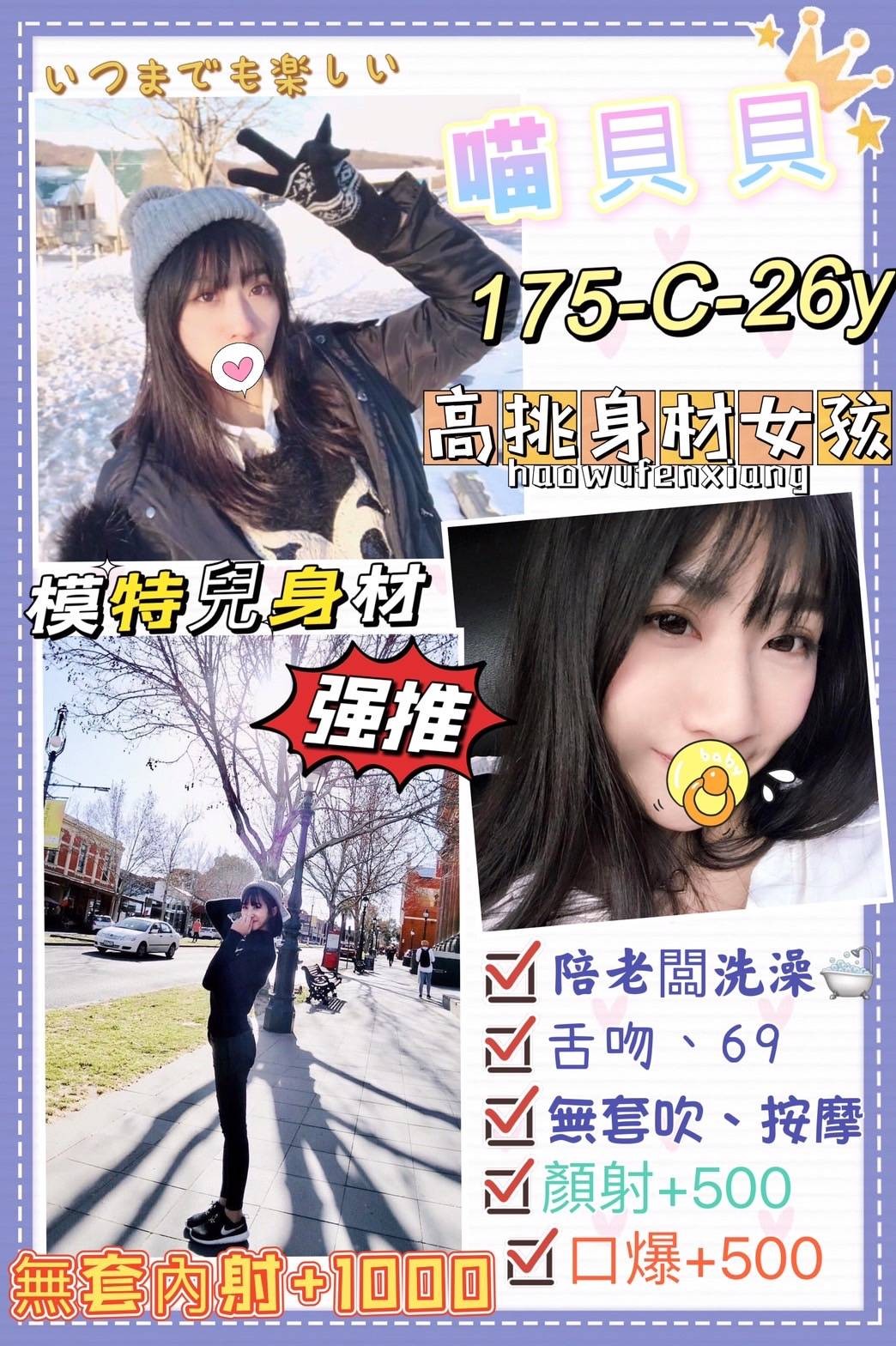 台灣台北喵貝貝定點圖片