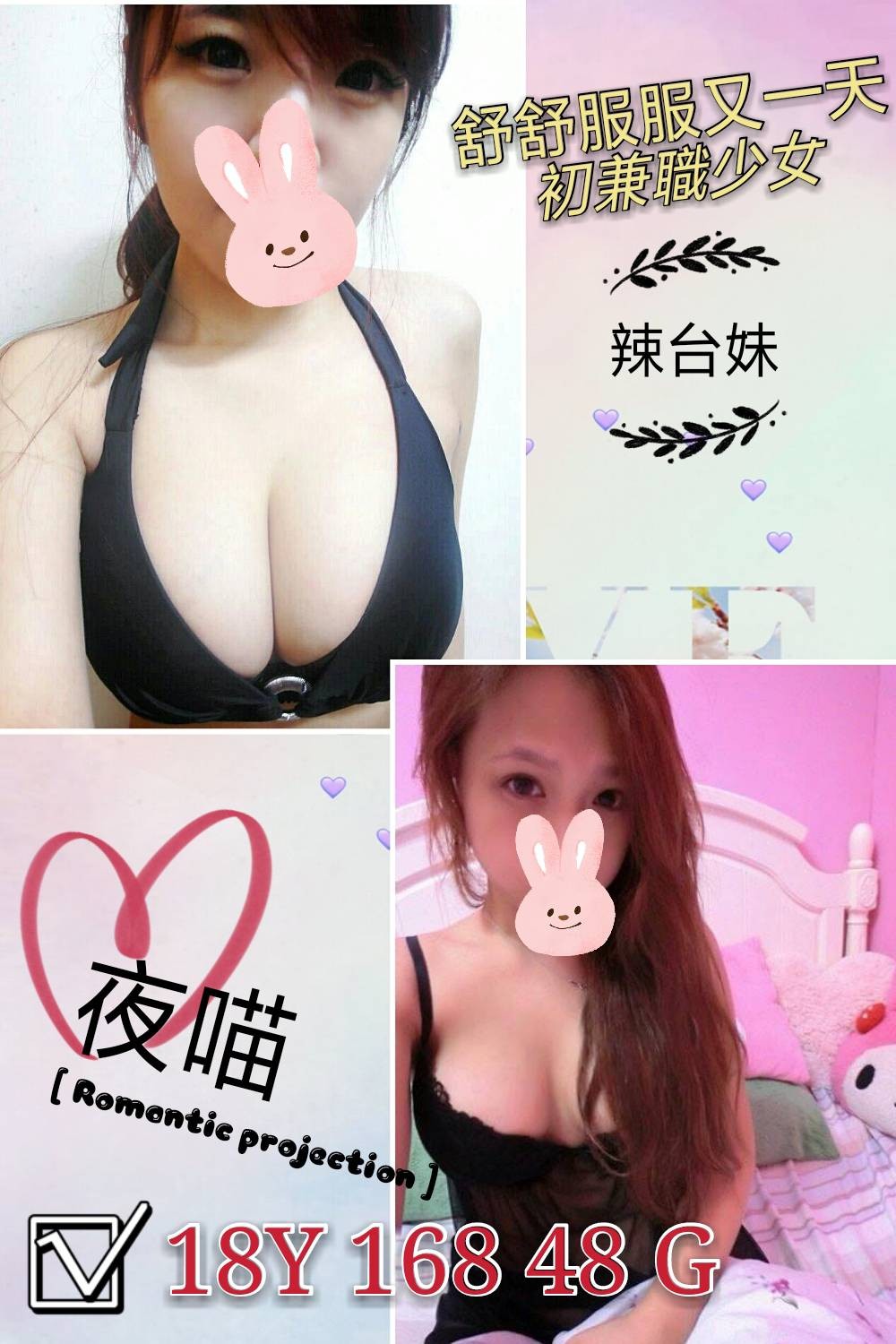 台灣台北夜喵定點圖片
