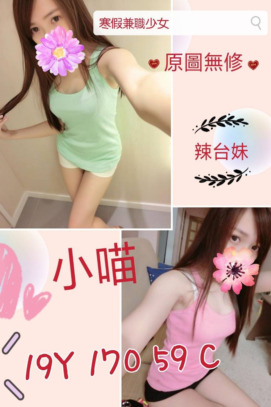 台灣台北小喵定點圖片