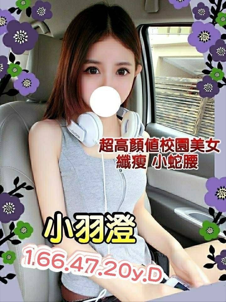 台灣台南小羽橙外約圖片