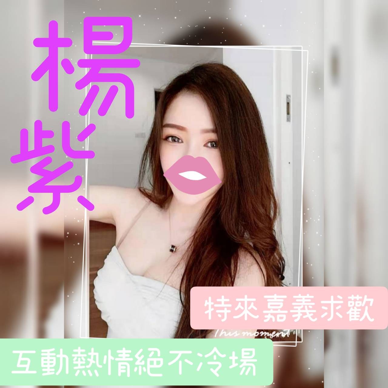 台灣嘉義楊紫定點圖片