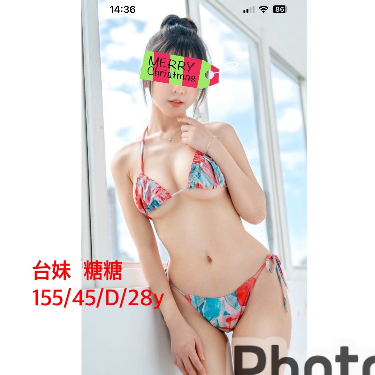台灣嘉義糖糖定點圖片