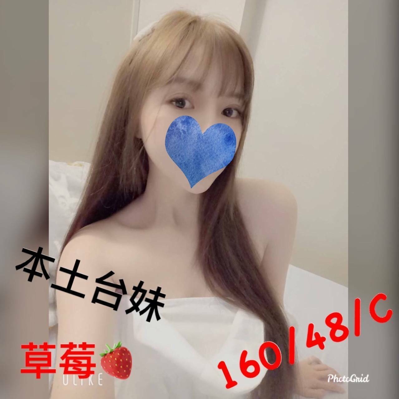 台灣嘉義草莓定點,外約圖片