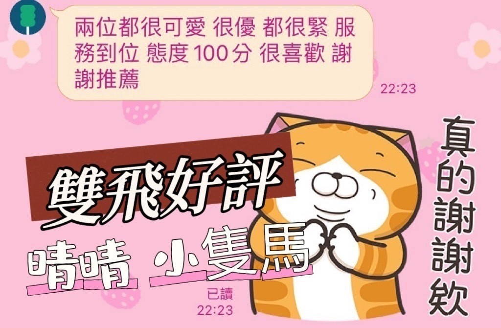 台灣屏東小隻馬定點圖片