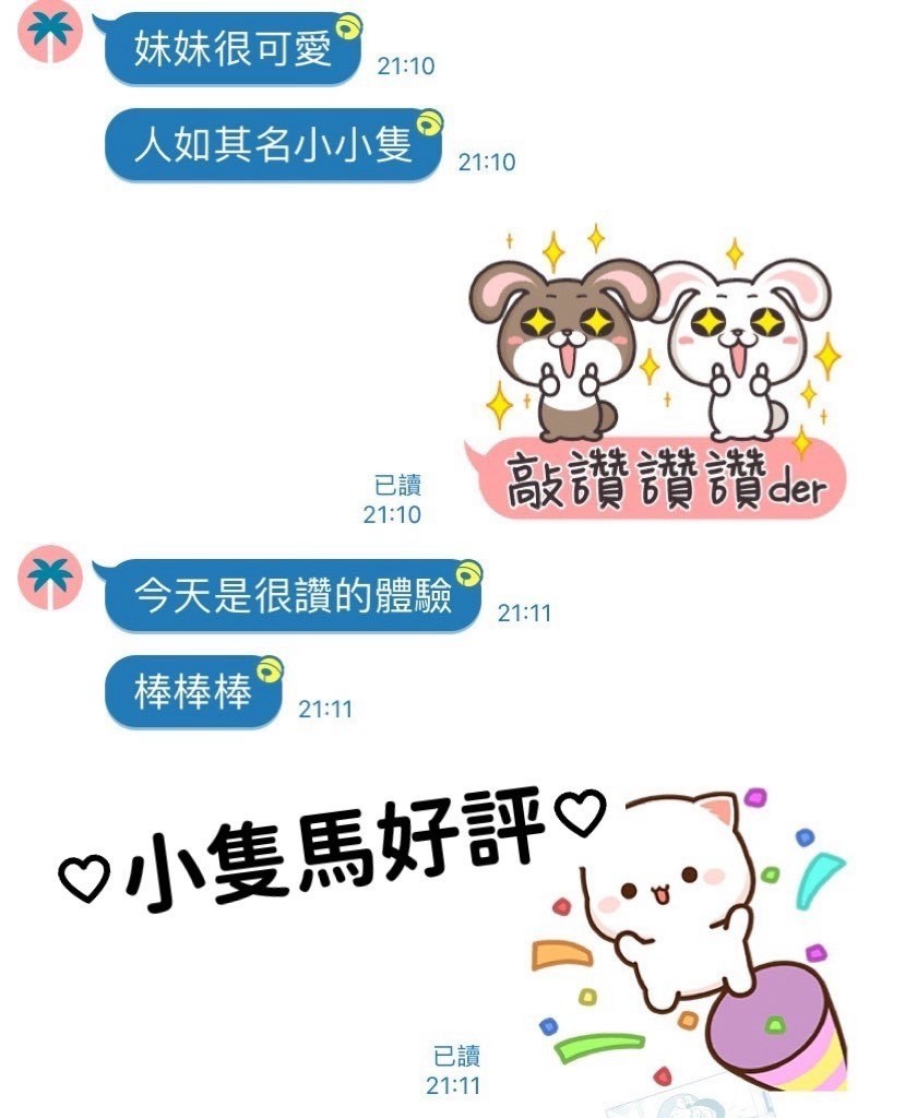 台灣屏東小隻馬定點圖片