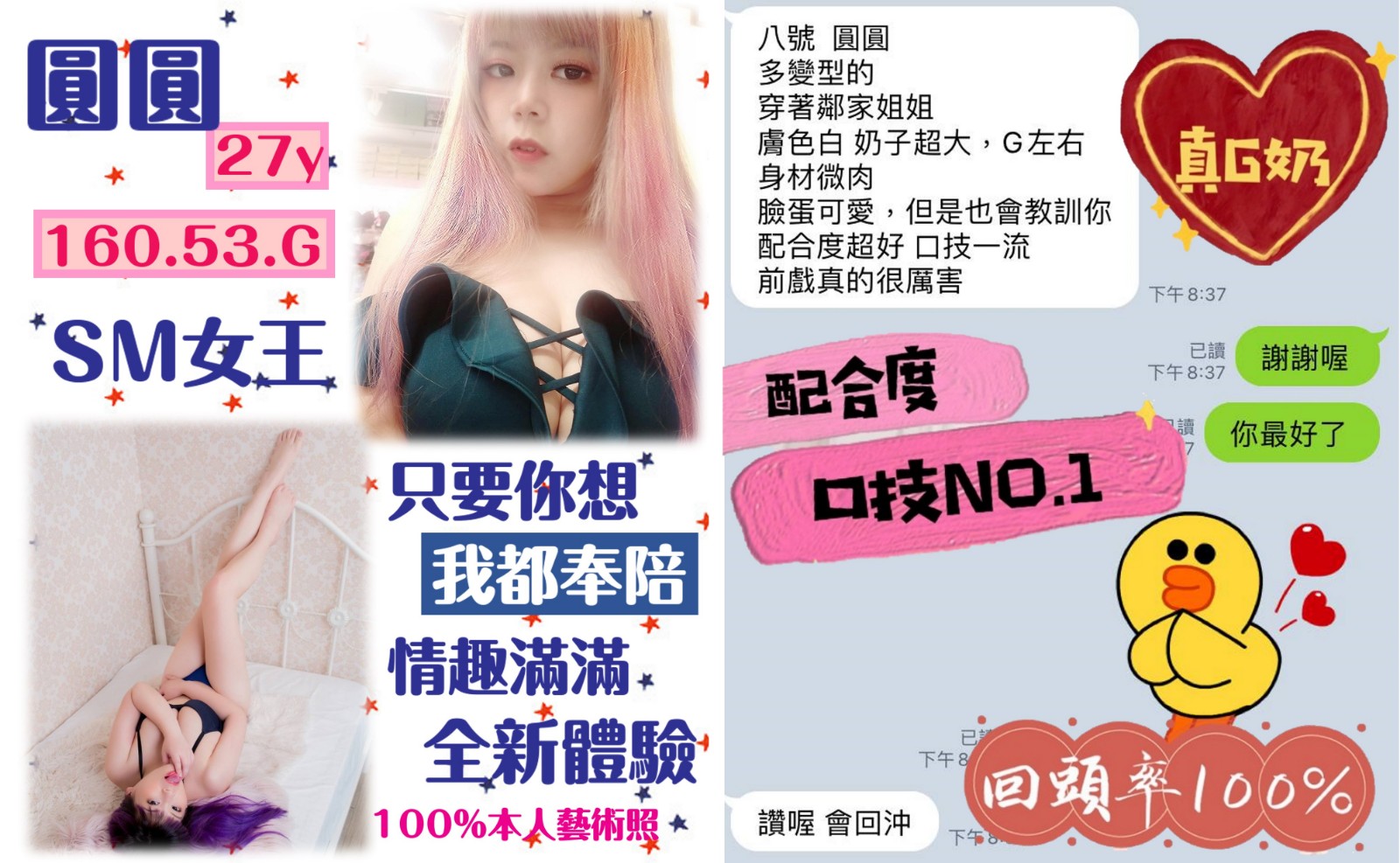台灣新北圓圓定點圖片