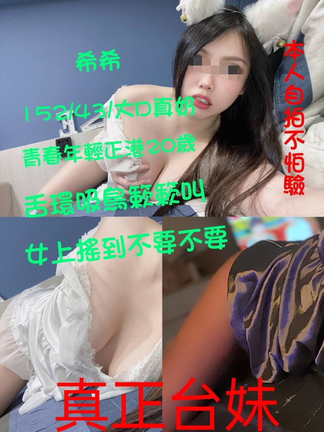 台灣新北希希定點圖片
