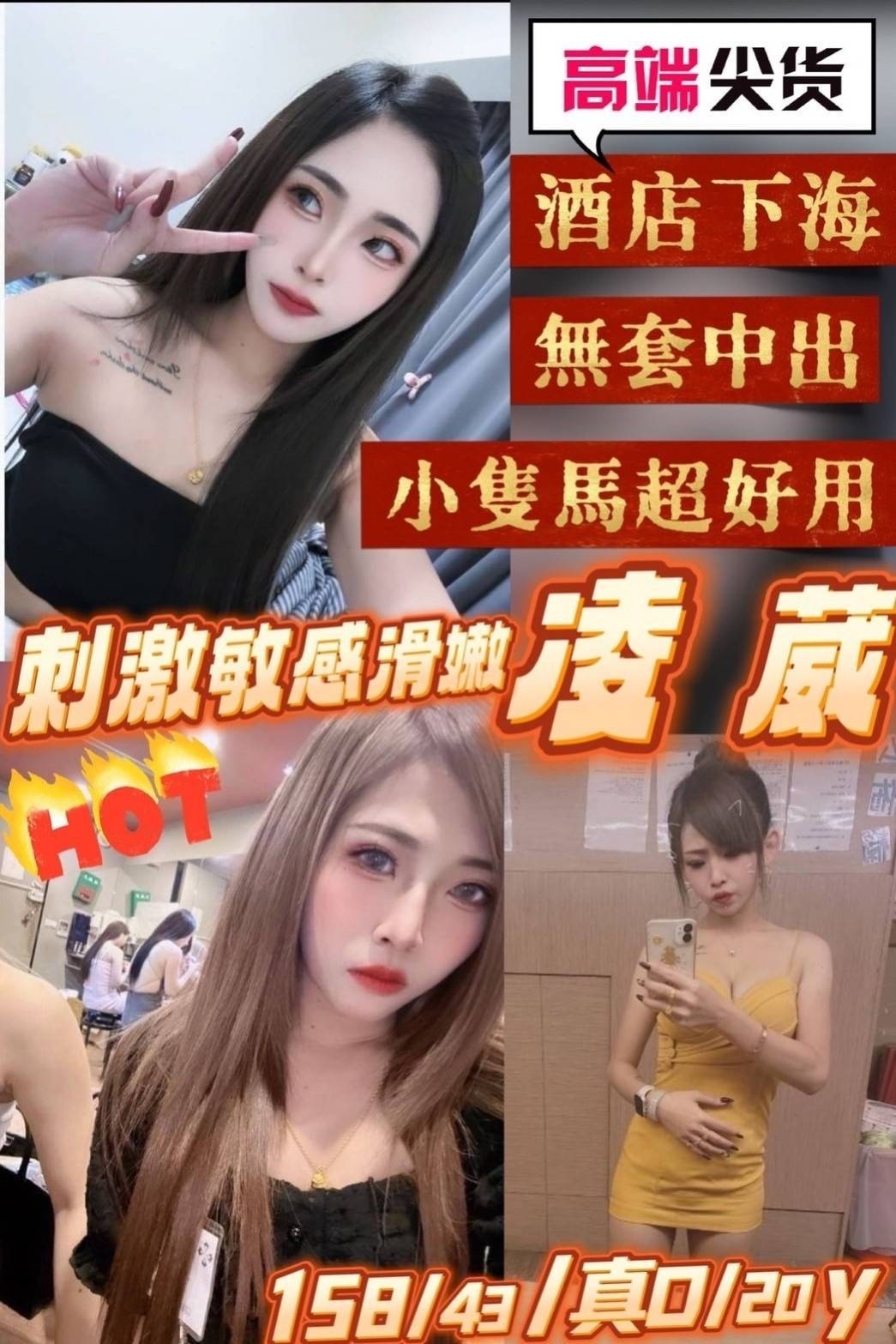 台灣新竹凌崴定點圖片