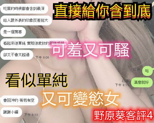台灣新竹野原葵定點圖片