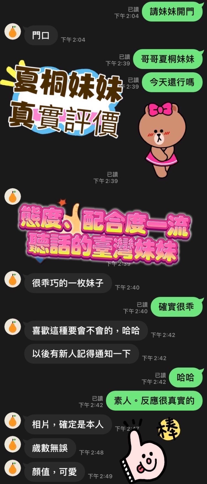 台灣桃園夏桐定點圖片