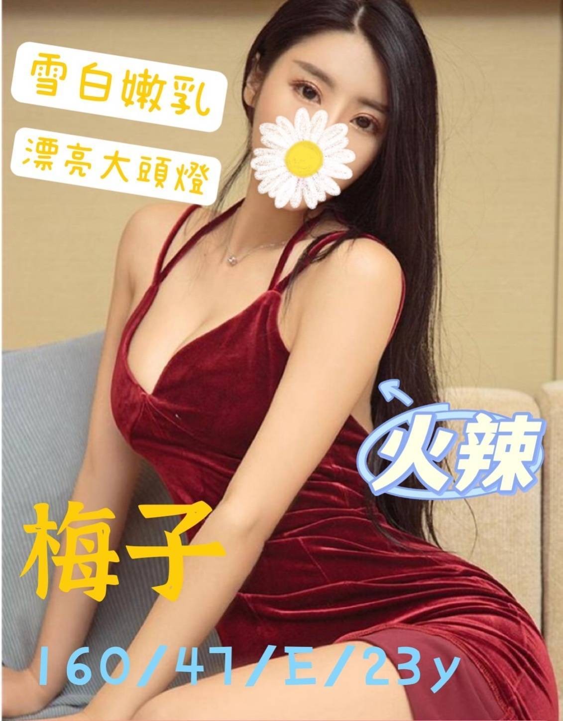 台灣桃園梅子外約圖片