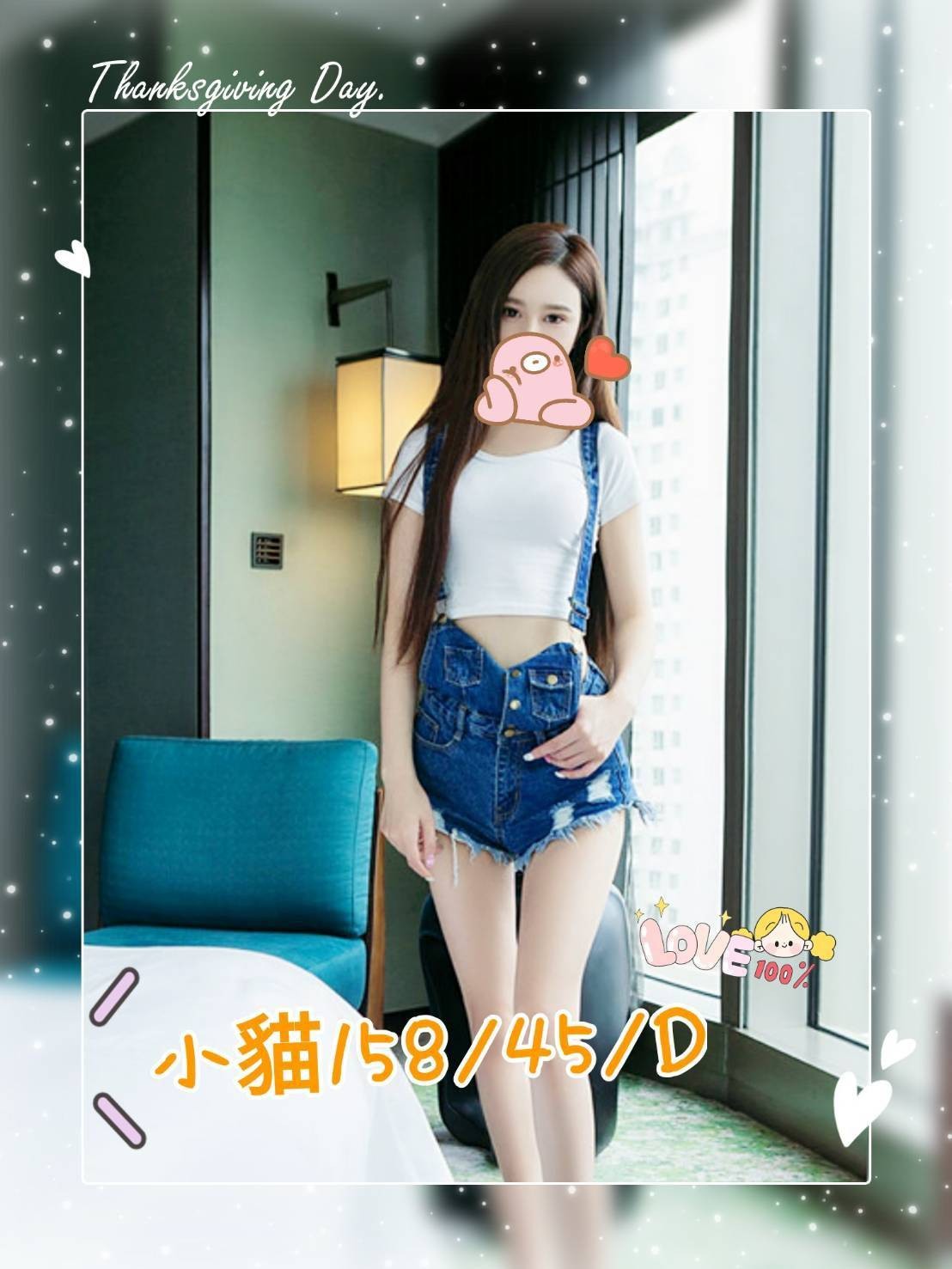台灣高雄小貓定點圖片