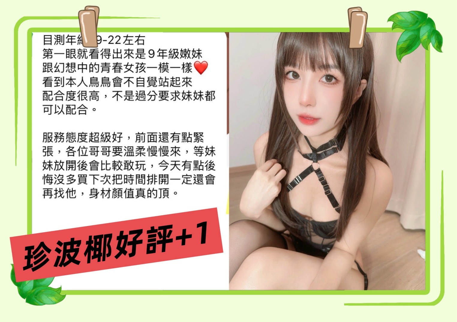台灣高雄珍波椰外約圖片