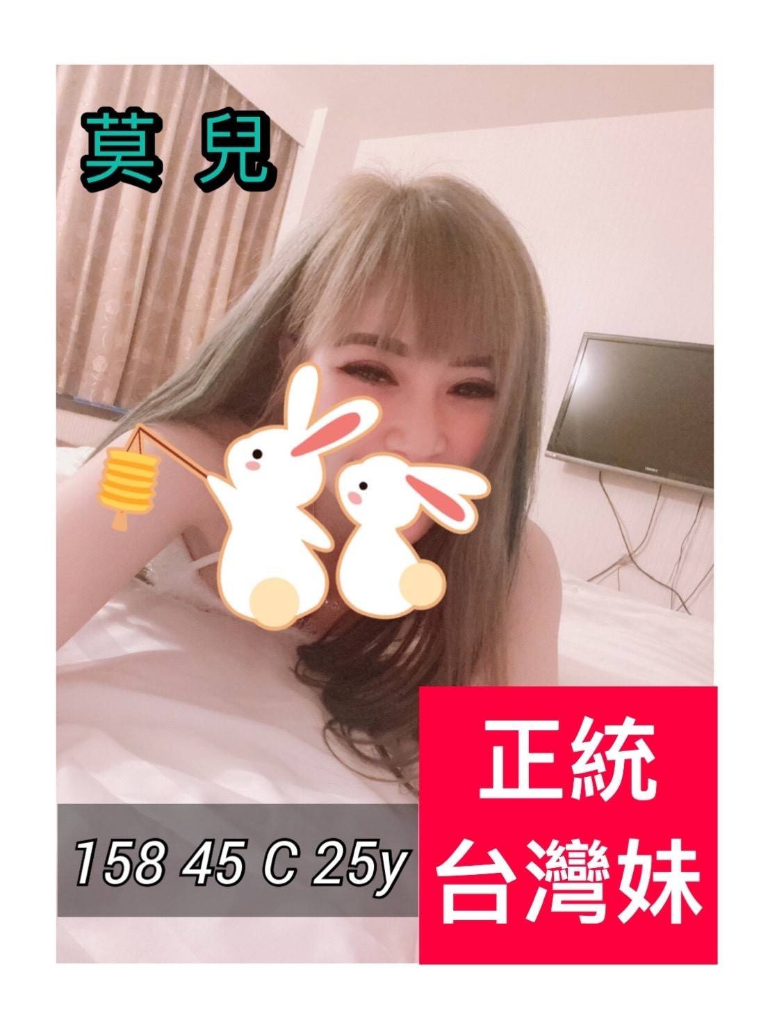 台灣高雄莫兒定點圖片
