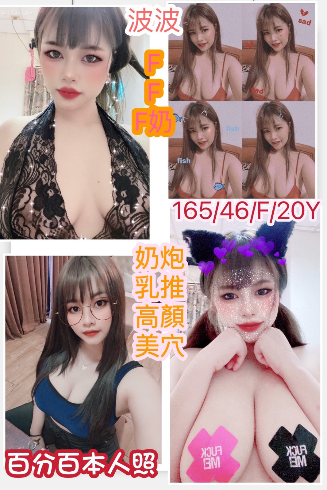 新加坡台南波波定點圖片
