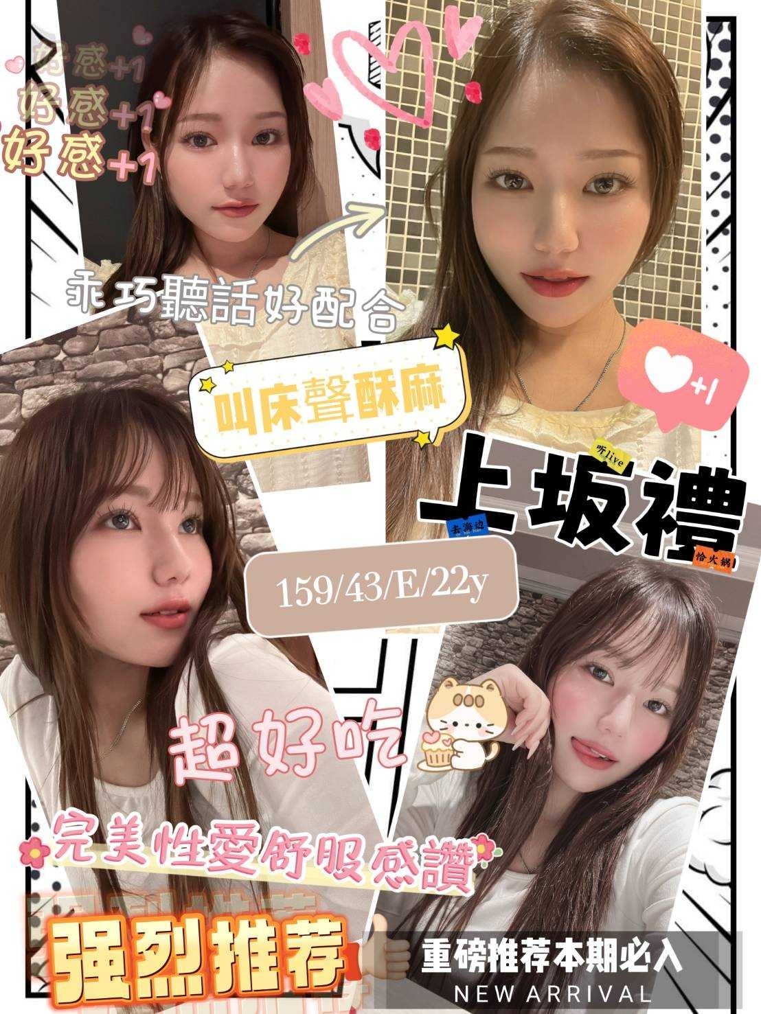 日本新竹上坂禮定點圖片
