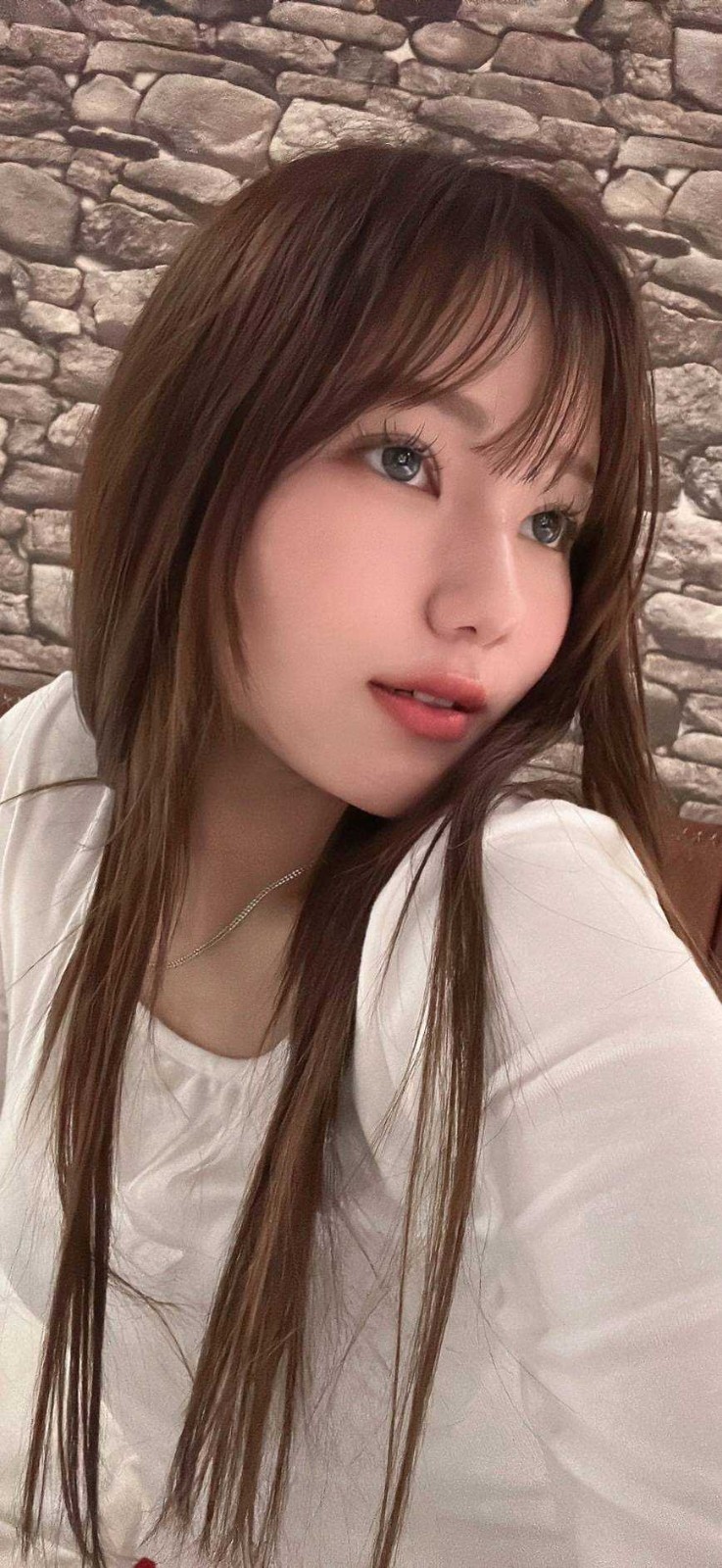 日本新竹上坂禮定點圖片