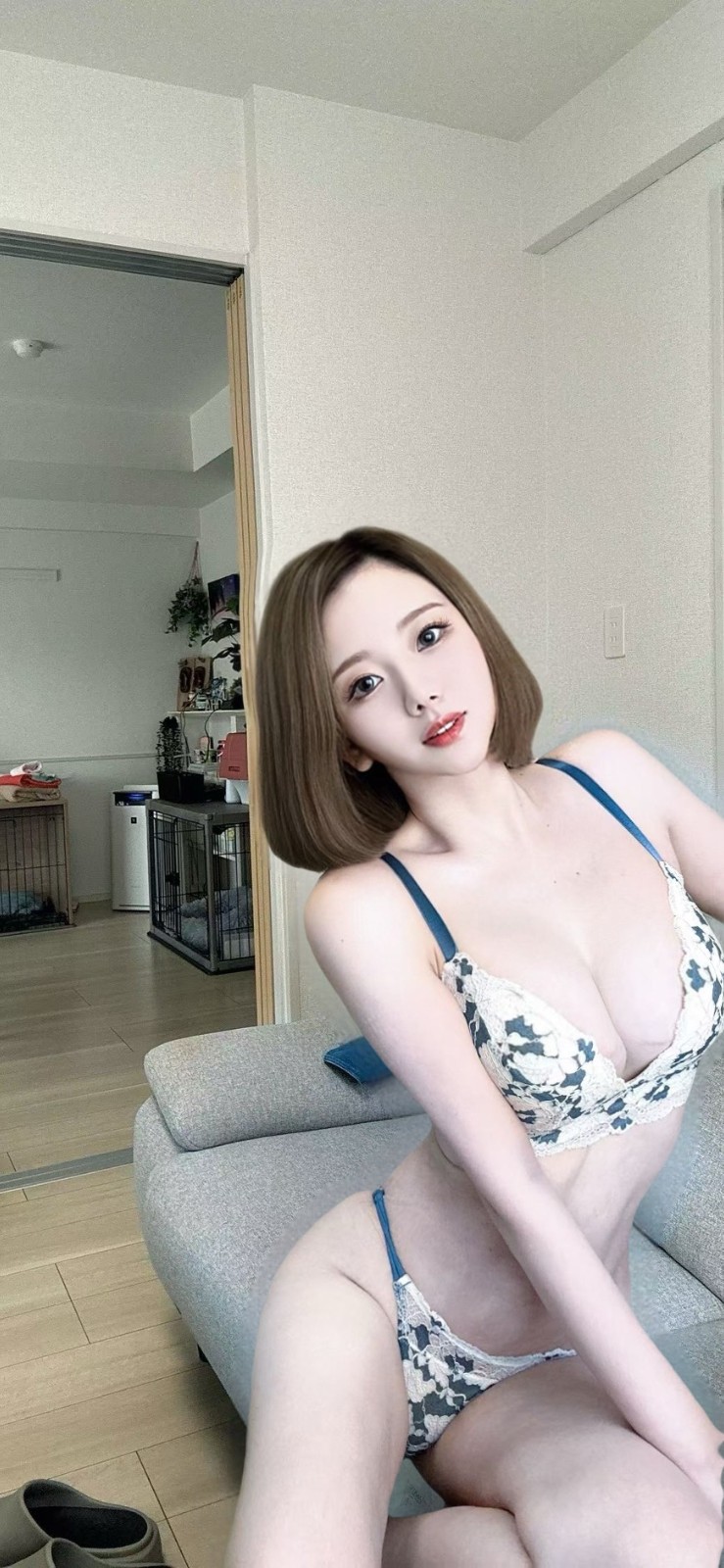 日本新竹左幸子外約圖片