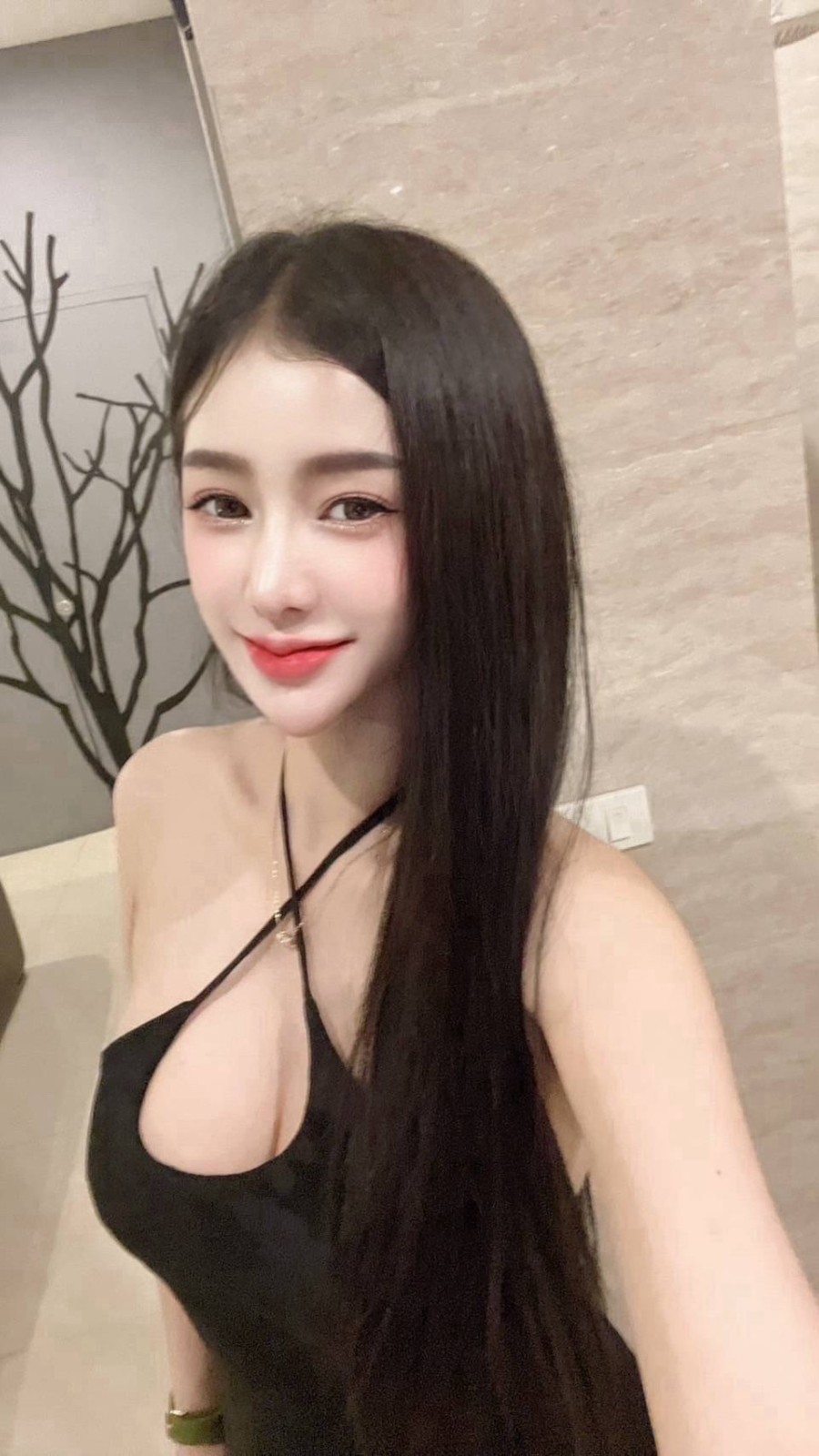 泰國台中河智苑定點圖片