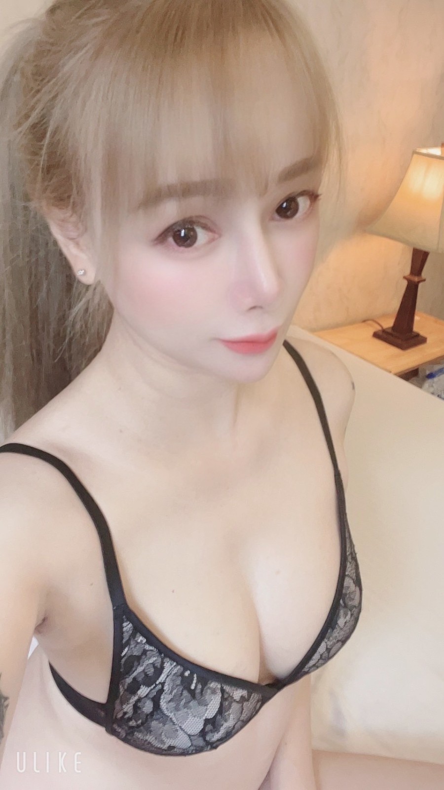 泰國台北季芹定點圖片