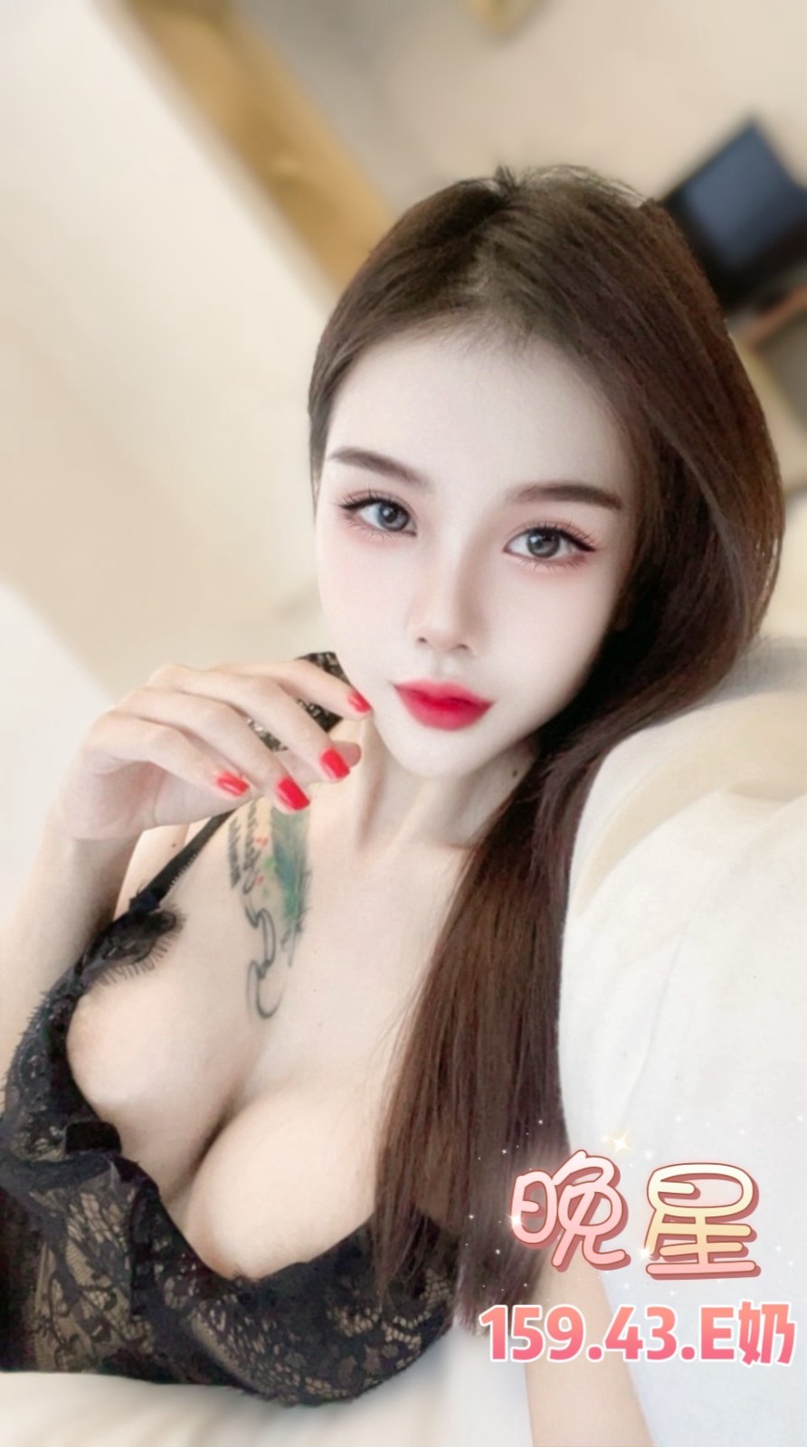 泰國台北晚星定點圖片