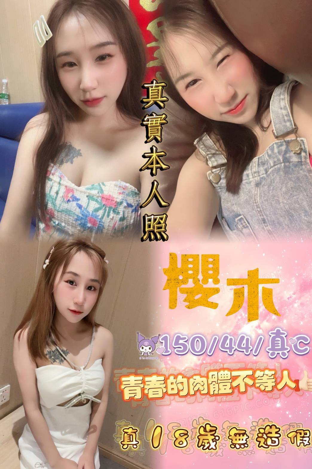 泰國台北櫻木定點圖片