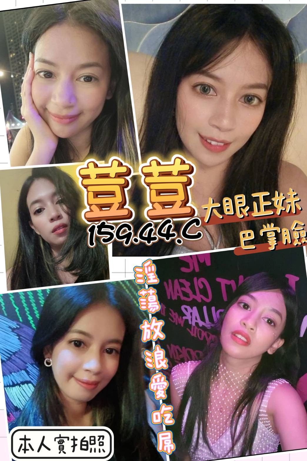 泰國台北荳荳定點圖片