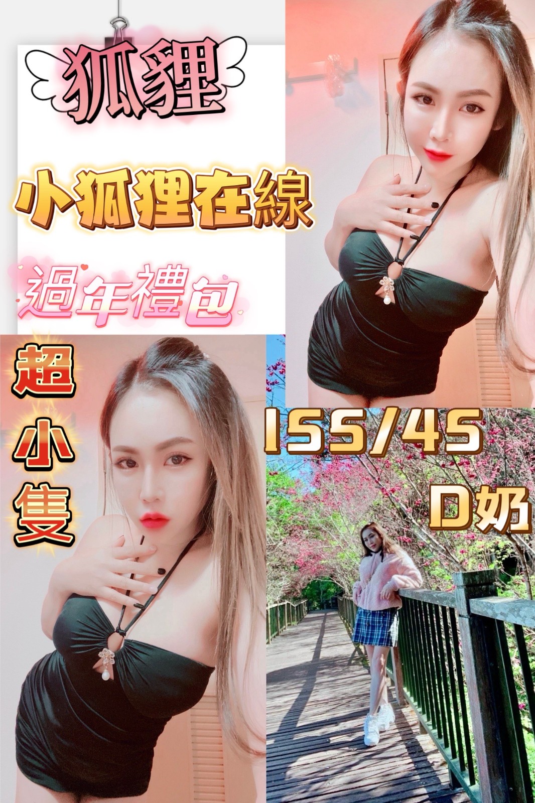 泰國新北狐狸定點圖片