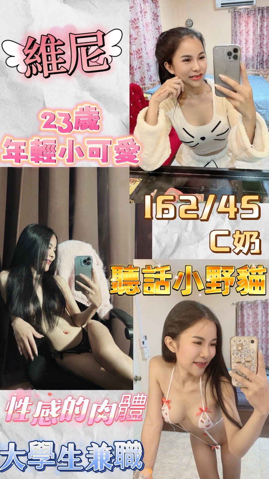 泰國新北維尼定點圖片