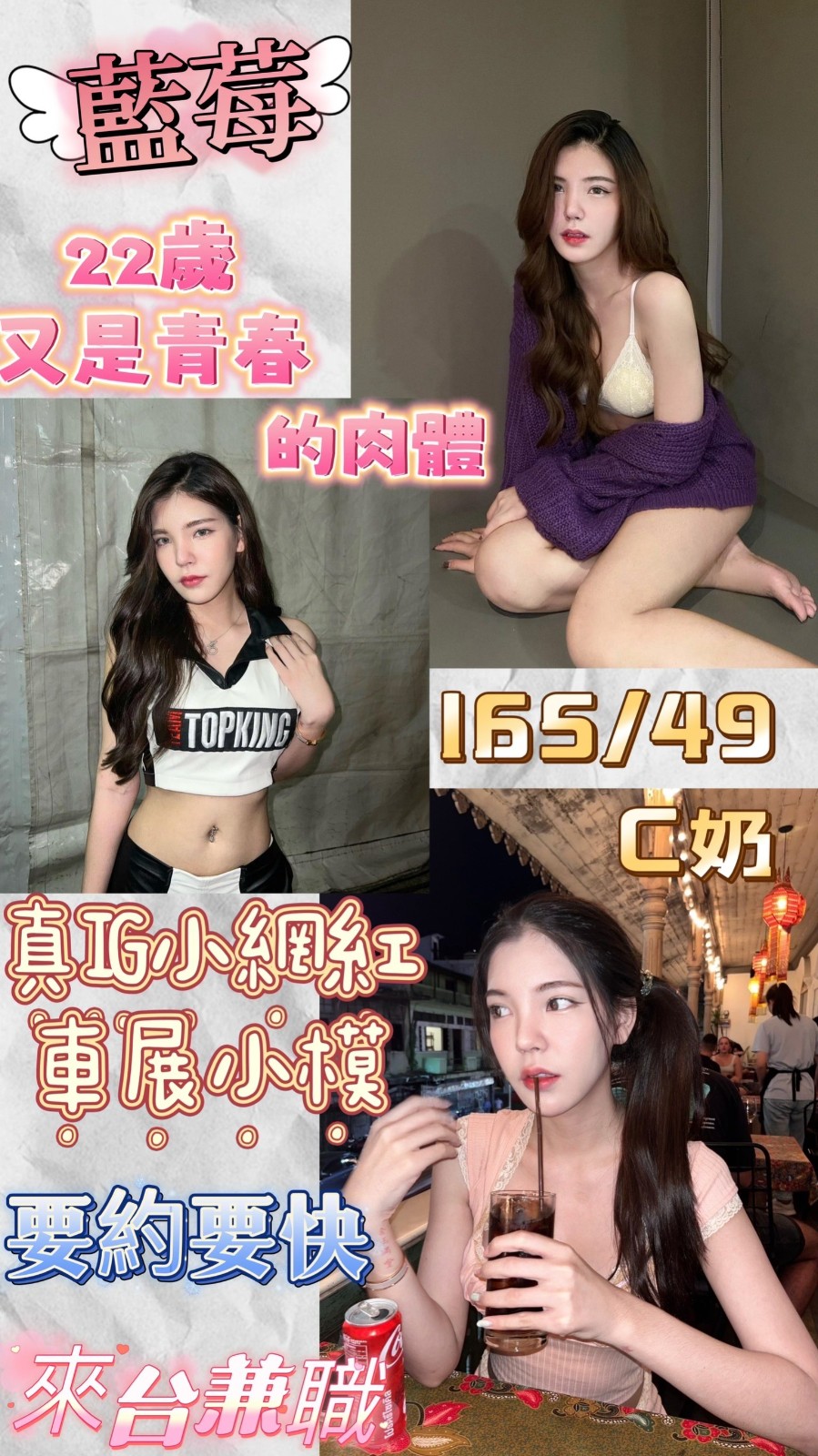 泰國新北藍莓定點圖片
