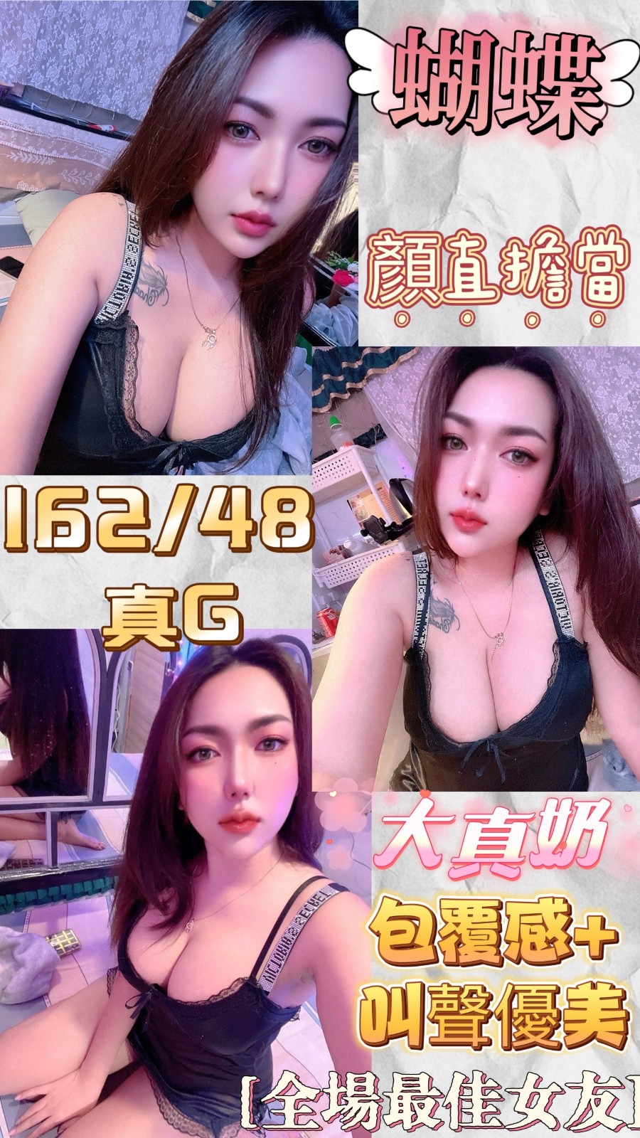 泰國新北蝴蝶定點圖片