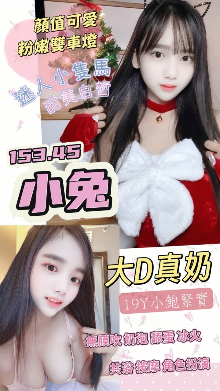 泰國桃園小兔定點圖片