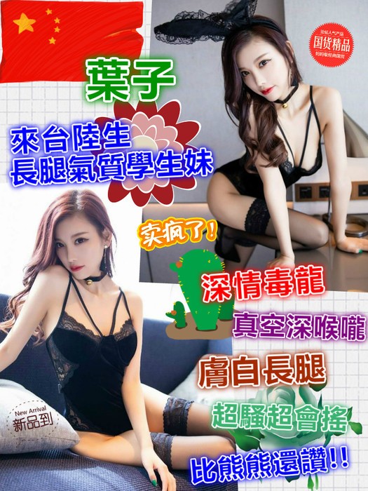 港澳新竹葉子定點圖片