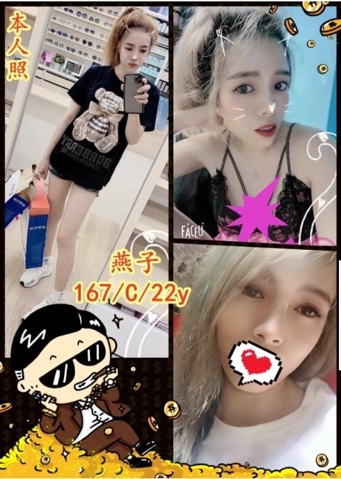 越南南投燕子定點圖片