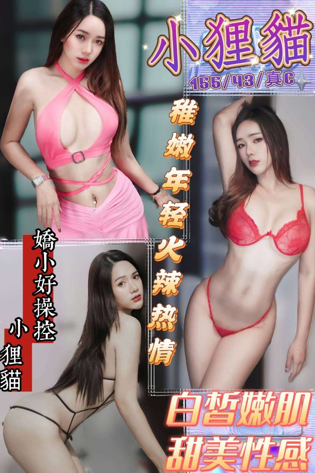 越南台中小狸貓定點圖片