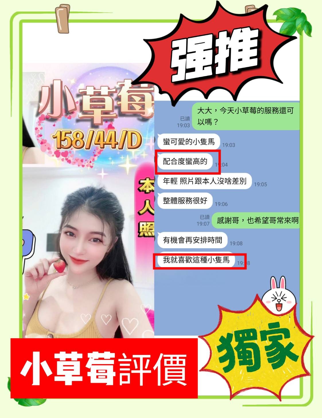 越南台中小草莓定點圖片