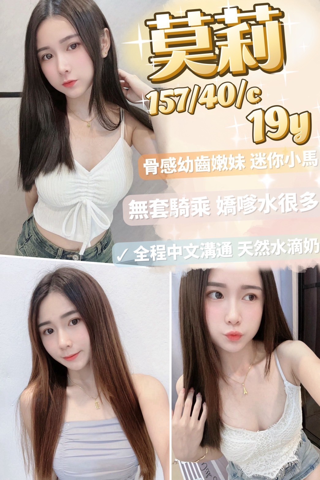 越南台中莫莉定點圖片