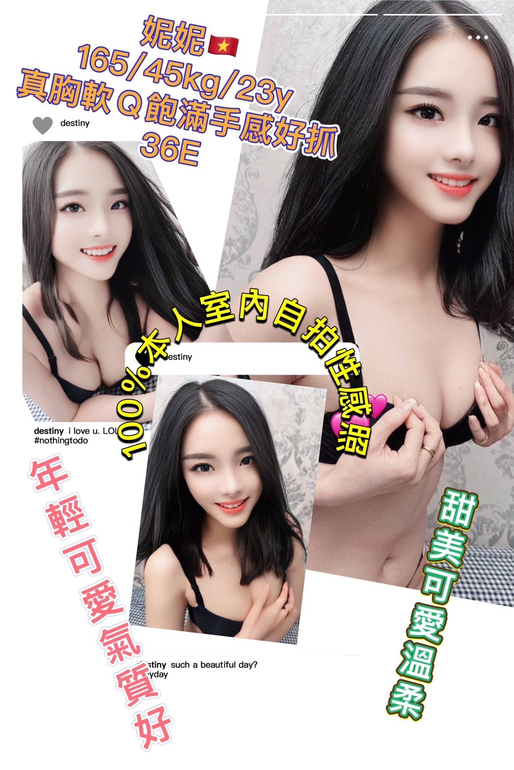 越南台北妮妮定點圖片
