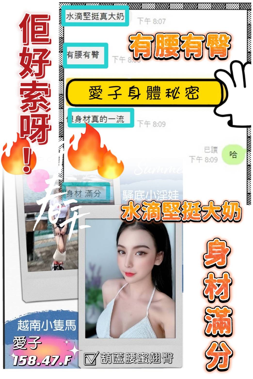 越南台北愛子定點圖片
