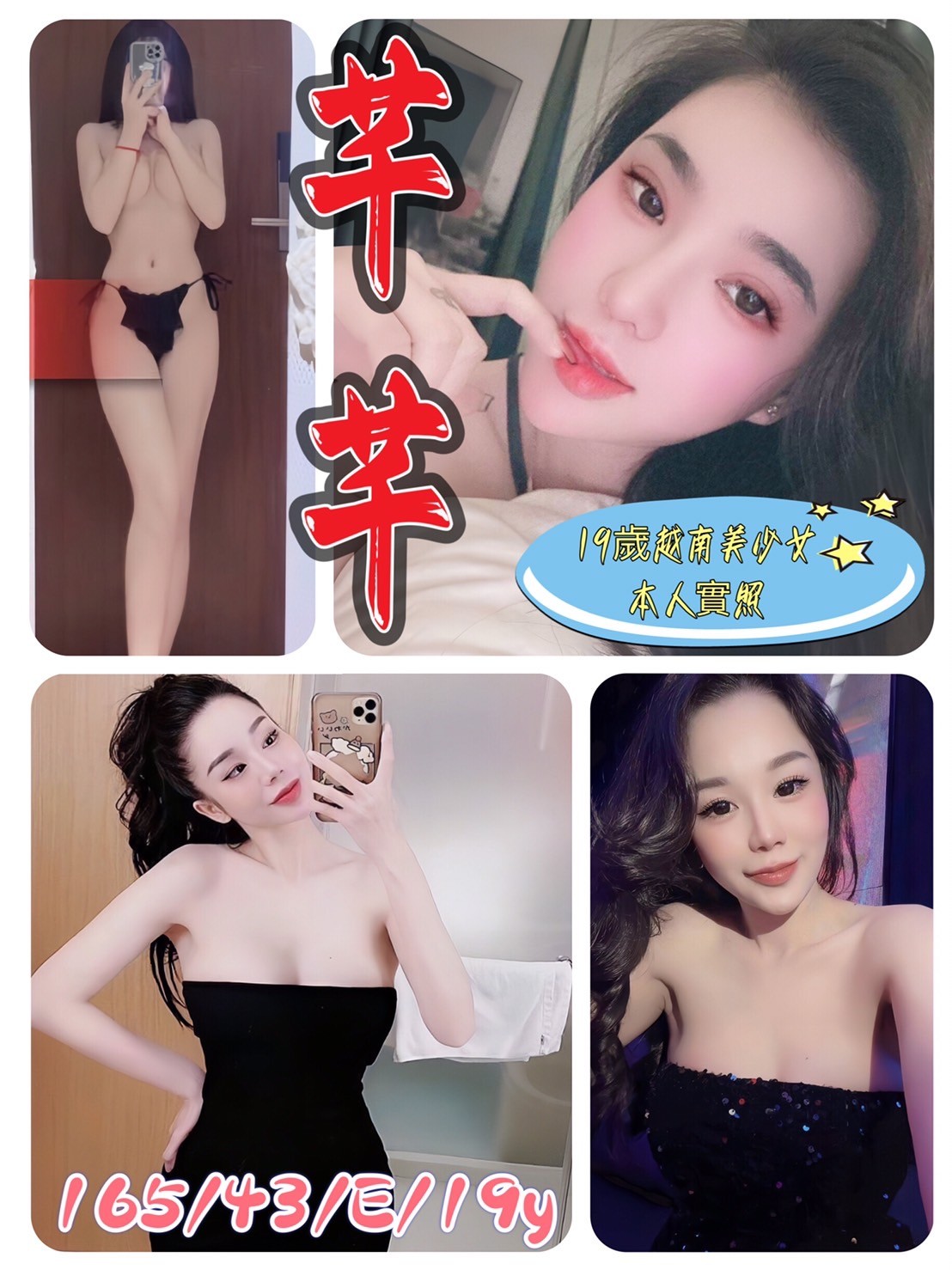 越南台北芊芊定點圖片