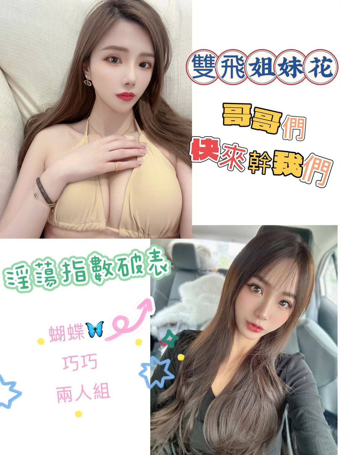 越南台北蝴蝶定點圖片