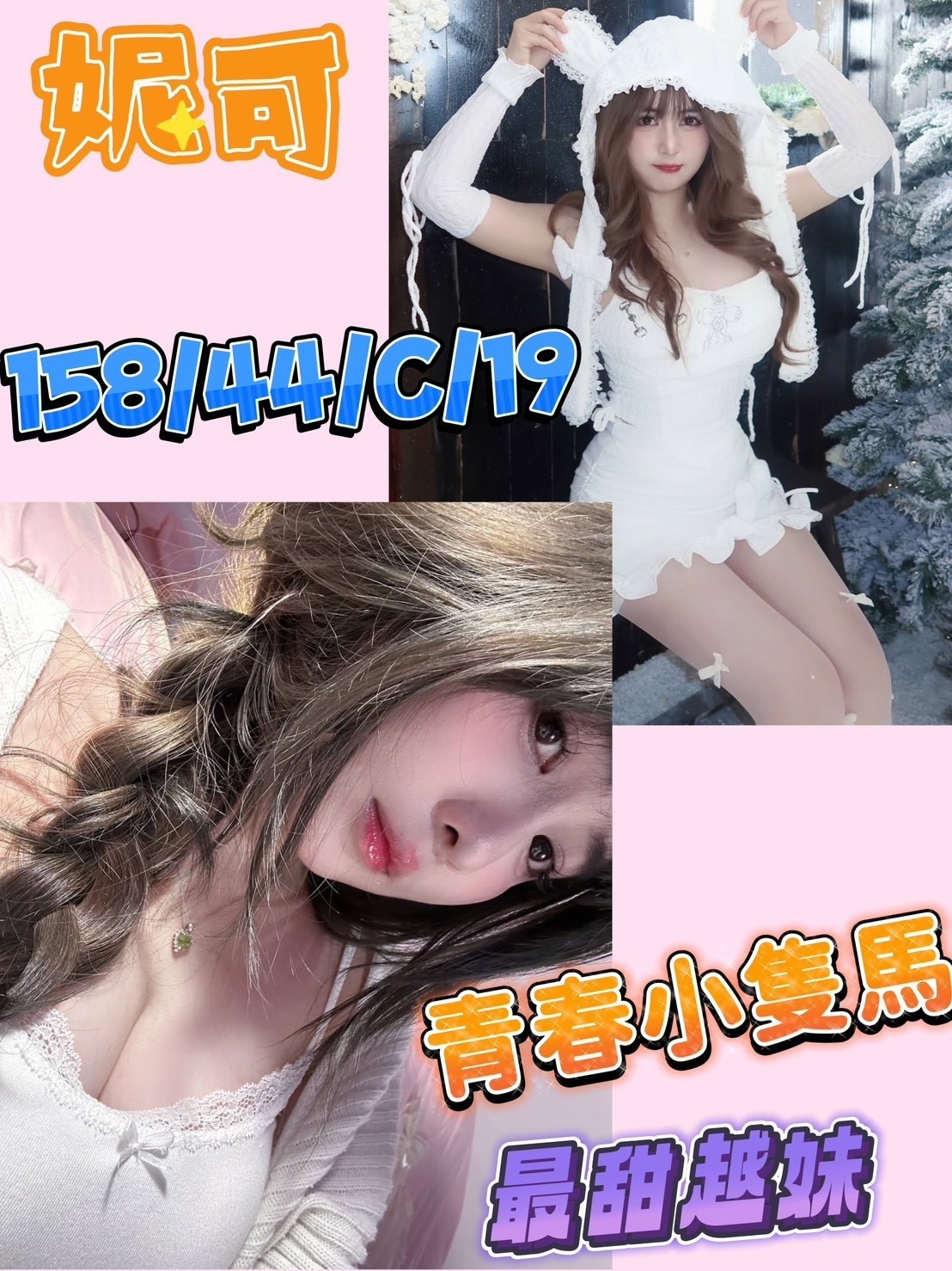 越南台南妮可定點圖片