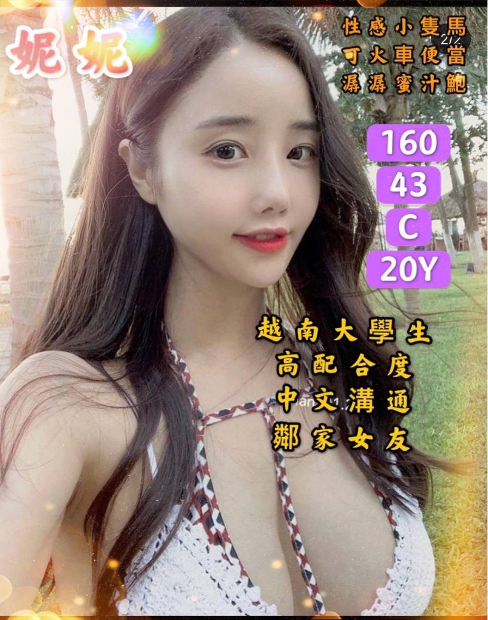 越南台南妮妮定點圖片