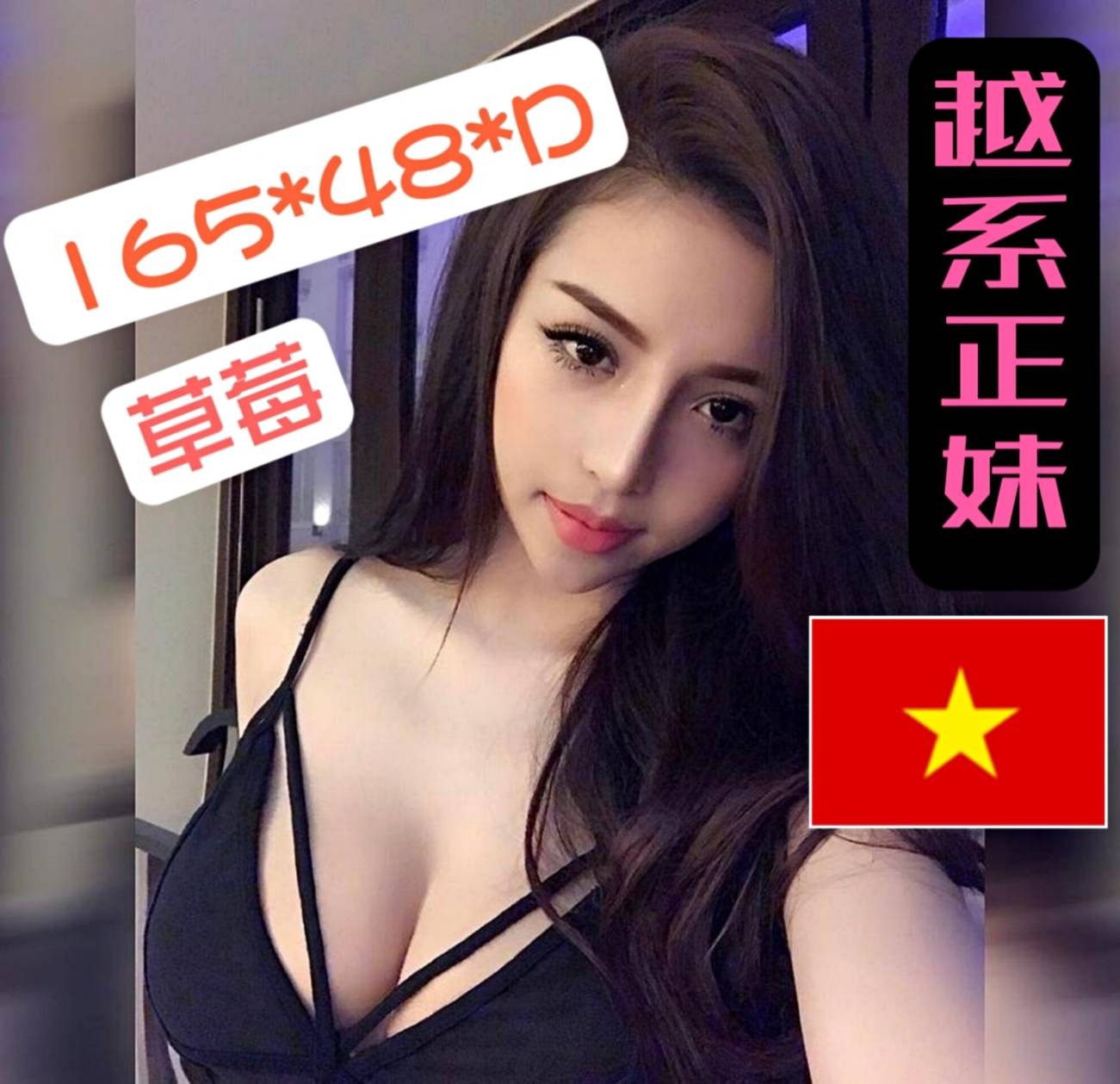 越南台南草莓定點圖片