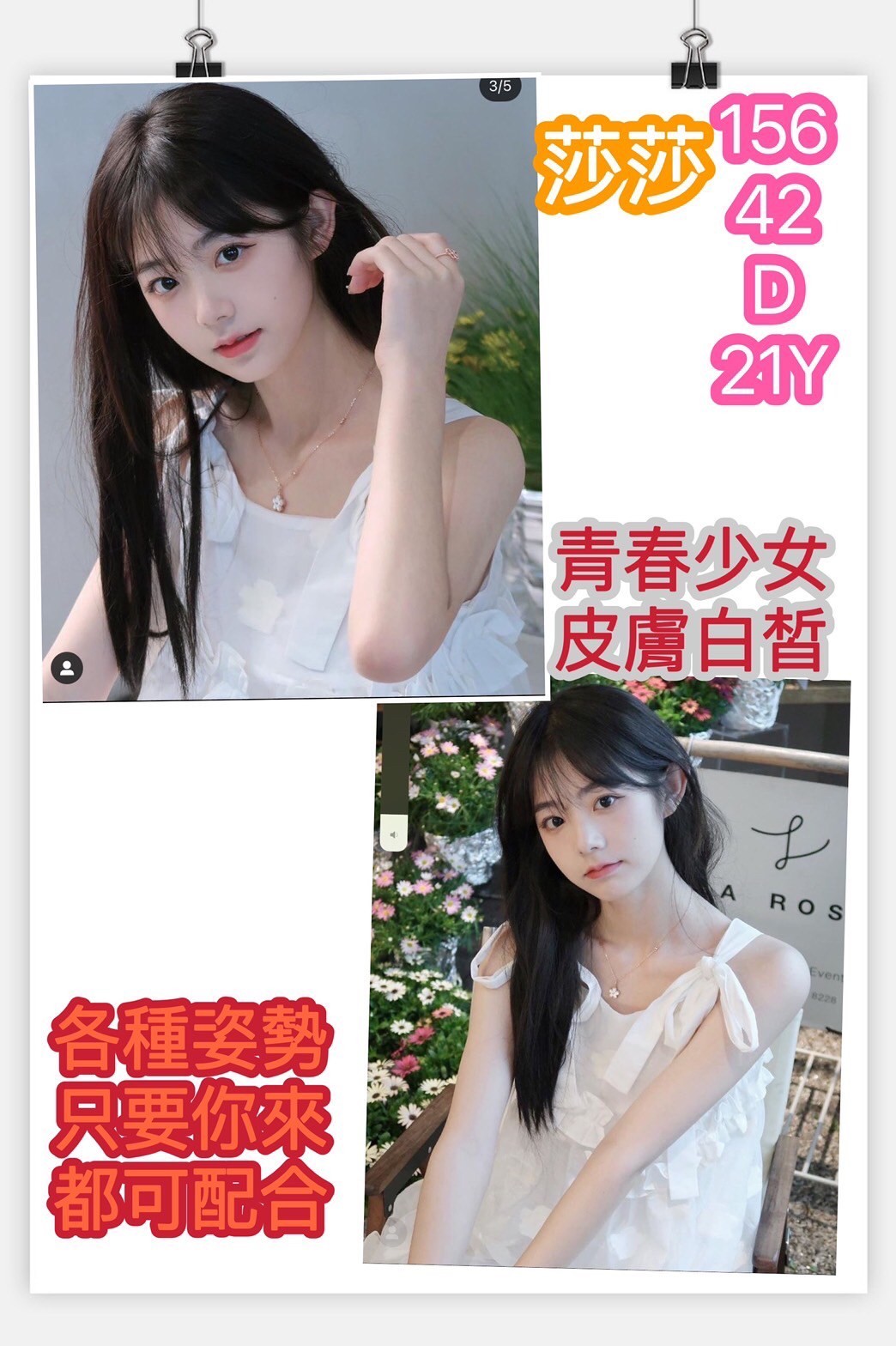 越南台南莎莎定點圖片