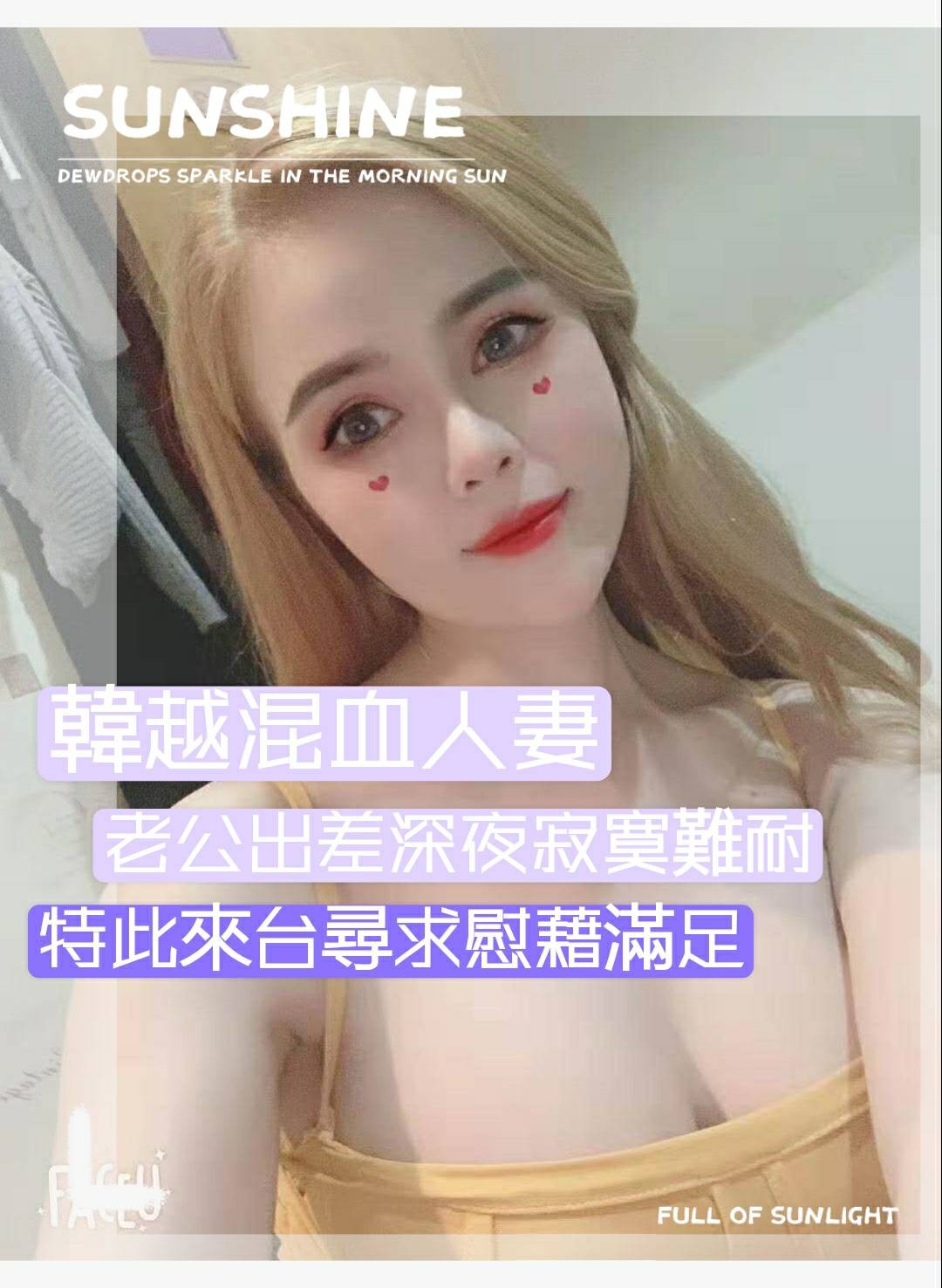 越南嘉義雪梨定點圖片