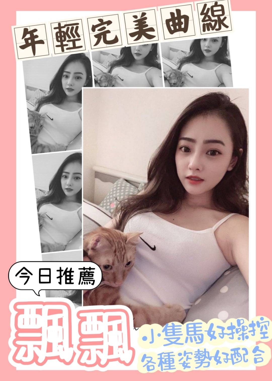 越南嘉義飄飄定點圖片